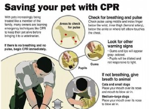 犬のCPRを実行する方法を知っていますか？ 