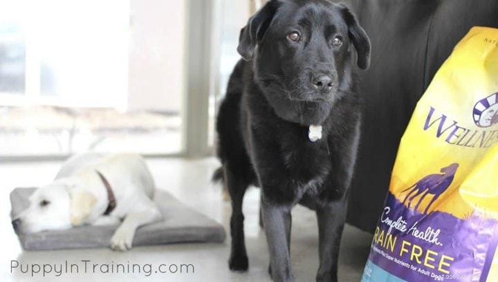 Revisão de comida de cachorro sem grãos de saúde completa de bem-estar – Como encontrar uma boa comida de cachorro #GrainFreeForMe