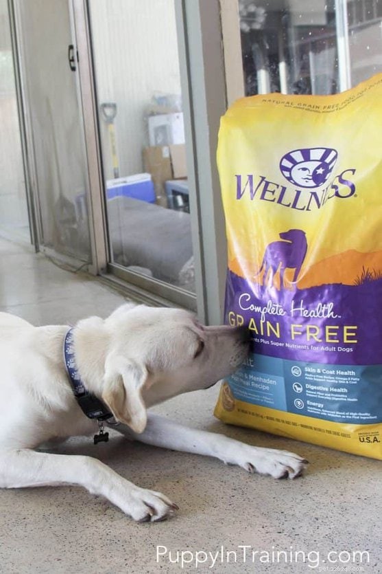 Examen de la nourriture pour chiens sans céréales Wellness Complete Health – Comment trouver une bonne nourriture pour chiens #GrainFreeForMe
