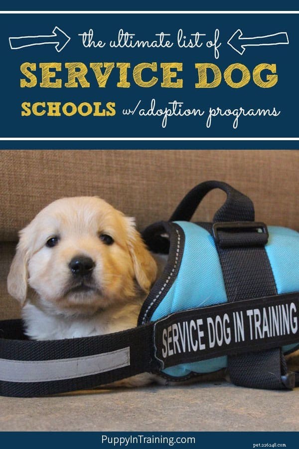 Den ultimata listan:Servicehundskolor med adoptionsprogram