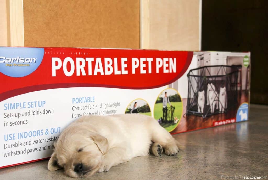 Recensione del box per animali domestici Carlson:primo sguardo al nostro nuovo box per cuccioli