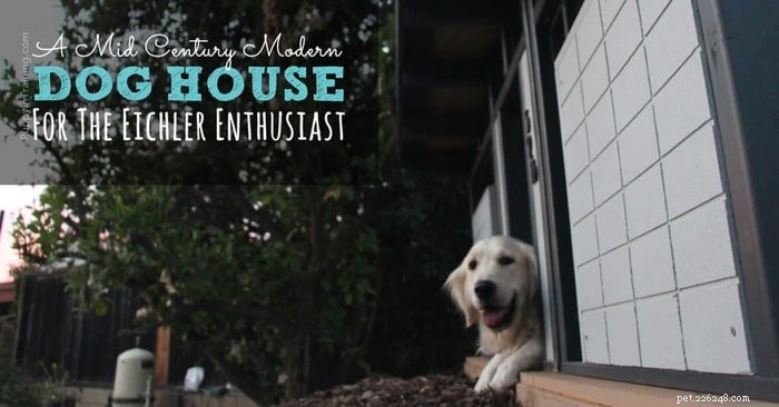 Uma casa de cachorro moderna de meados do século para o entusiasta de Eichler