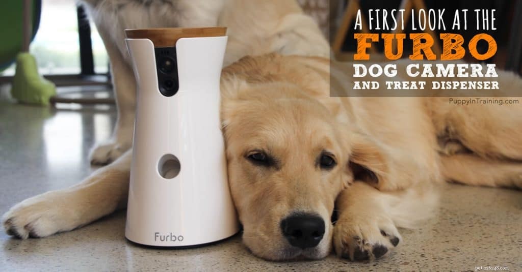 A First Look:Furbo Dog Camera Review