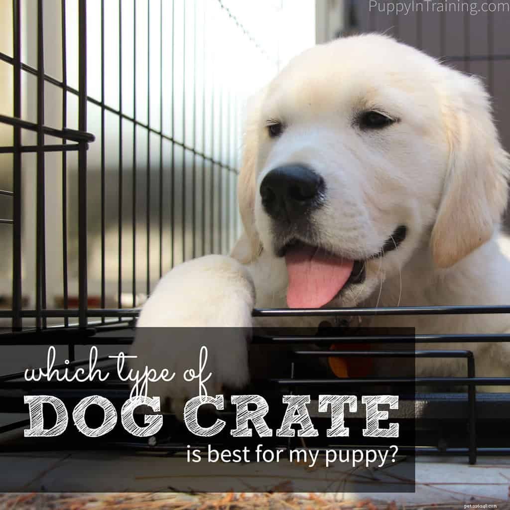 강아지에게 가장 적합한 개 상자는 무엇입니까?