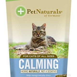Guloseimas para gatos calmantes recomendadas pelo veterinário