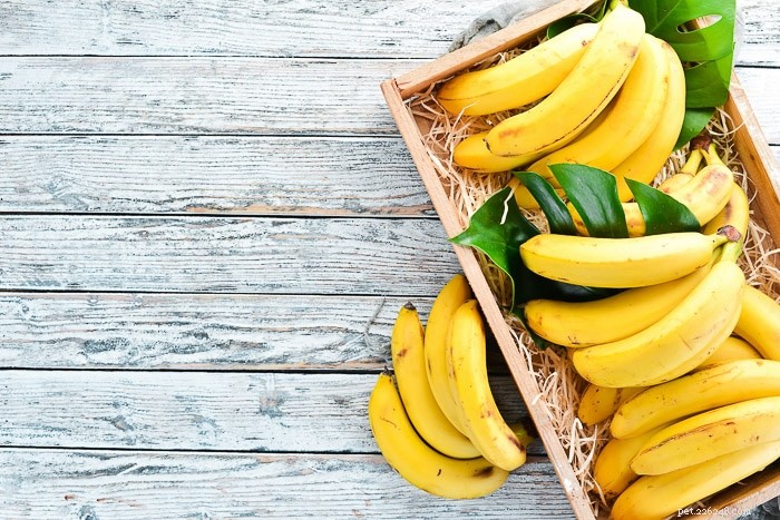 Kunnen baardagamen bananen eten?