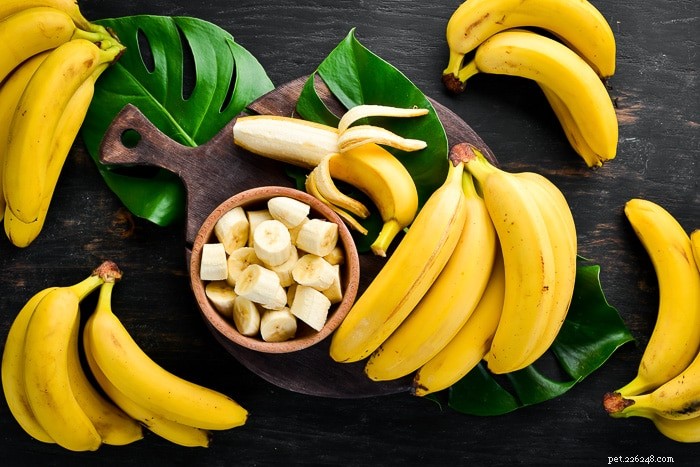 Kunnen cavia s bananen eten?