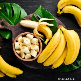 Les cobayes peuvent-ils manger des bananes ?