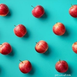 Kunnen baardagamen appels eten?
