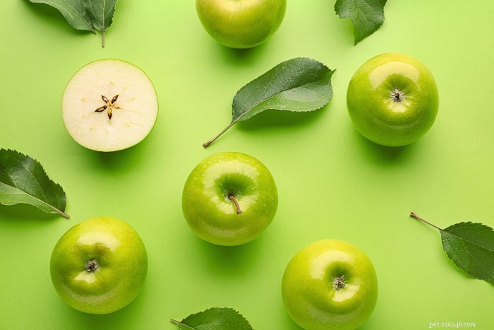 Kunnen baardagamen appels eten?
