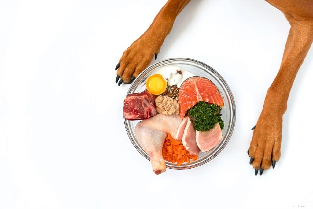 Les chiens peuvent-ils manger du saumon ?