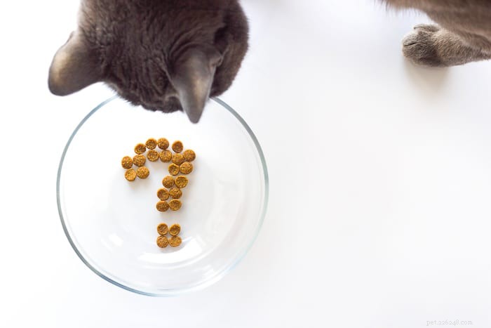 猫はどれくらい食べずに行くことができますか？ 