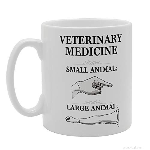 I migliori regali di Natale per veterinari e studenti di veterinaria