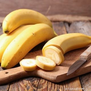 Mohou křečci jíst banány?