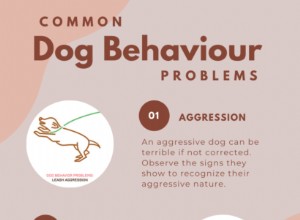 一般的な犬の行動の問題と解決策 
