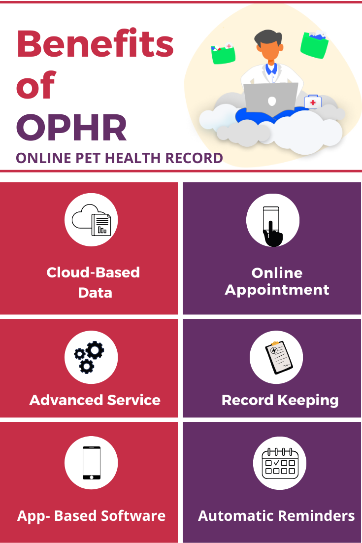 Digital Technology in Veterinary Practice