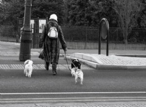 Santé des animaux de compagnie, partie 1 :Exercice