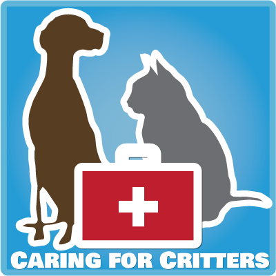 Cura di un cane con problemi di salute cronici:prendersi cura di Critters Round Robin