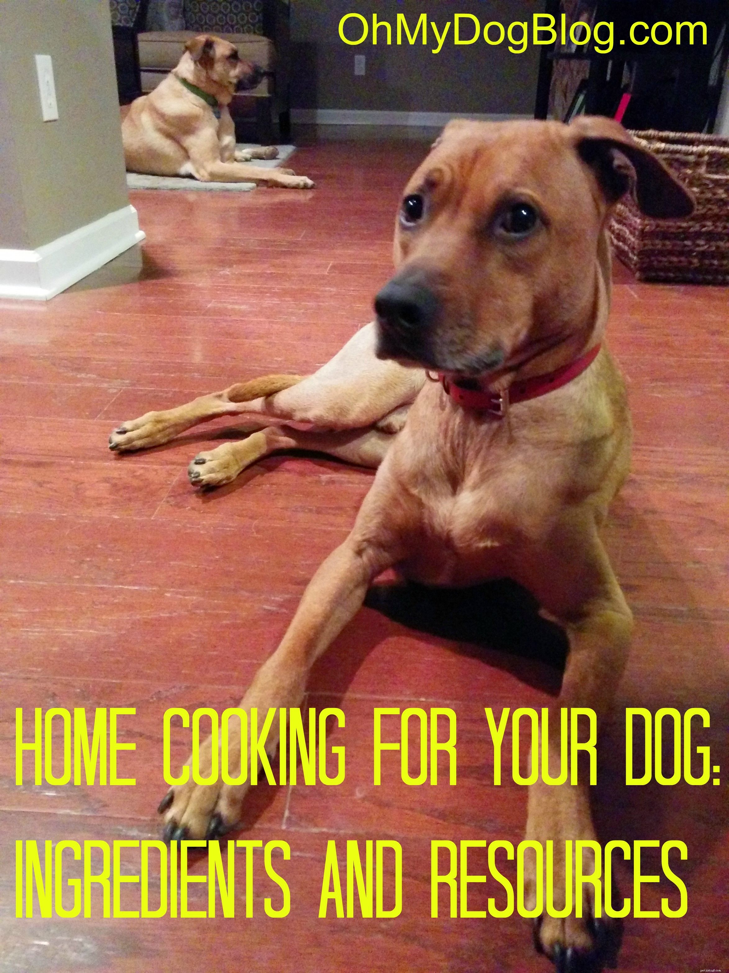 私たちの犬のための家庭料理：私たちが試したこと+リソース 