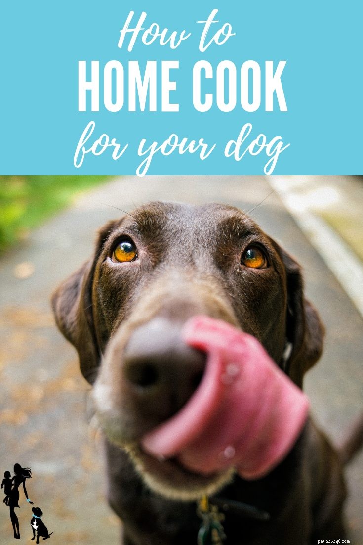 犬の家庭料理：よくある質問