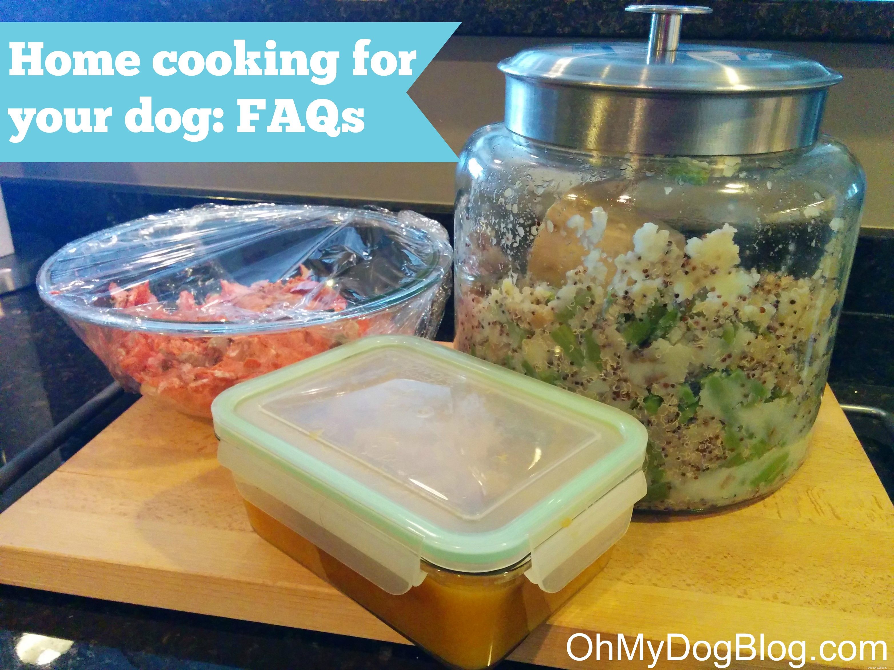 Cucina casalinga per il tuo cane:domande frequenti