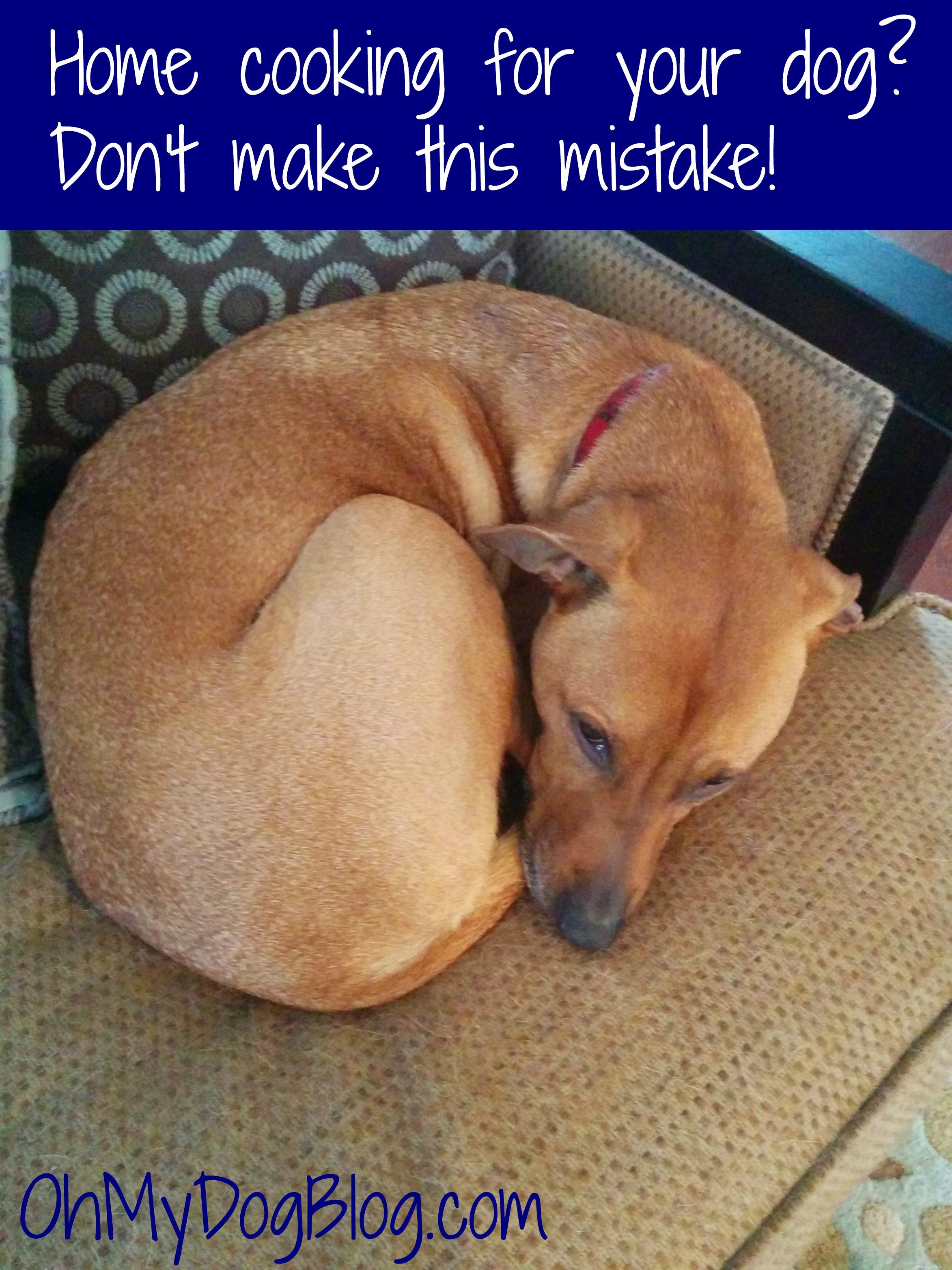 Cuisine maison pour votre chien ? Ne faites pas cette erreur ! (Nous l avons fait. Tirez.)