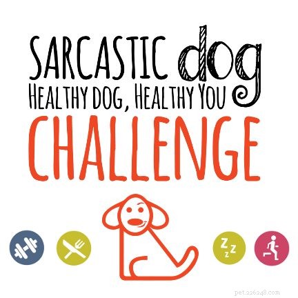Здоровая собака, здоровый ты… и обратное тоже верно!
