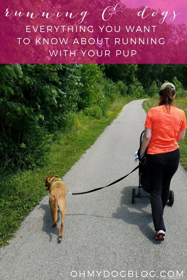 Běh se psem, který táhne… a vše ostatní, co chcete vědět o běhání se psy