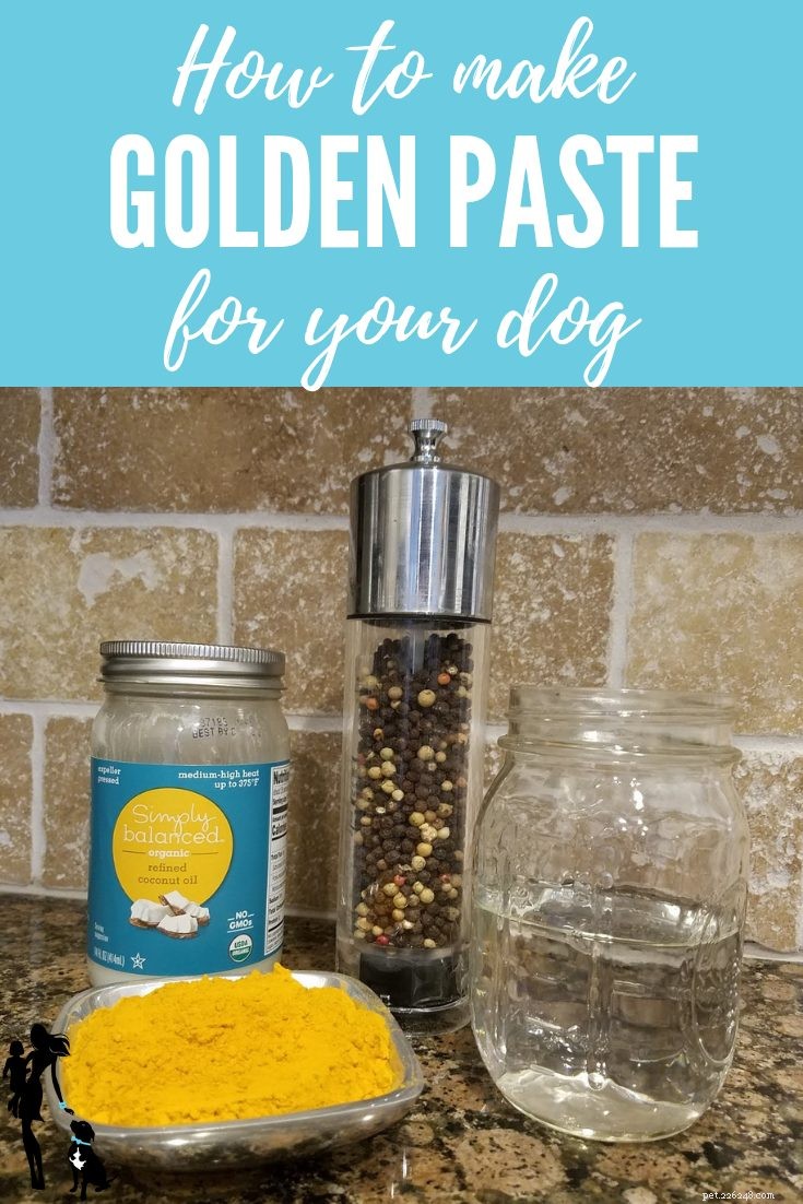 Golden Paste for Dogs:The What, Why, and How