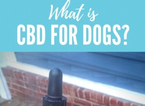 CBD olej pro psy:Stojí za humbuk?