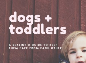 Chiens et tout-petits :un guide réaliste (et honnête) pour les protéger les uns des autres