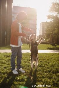 3 modi per incoraggiare un comportamento positivo in un nuovo cucciolo