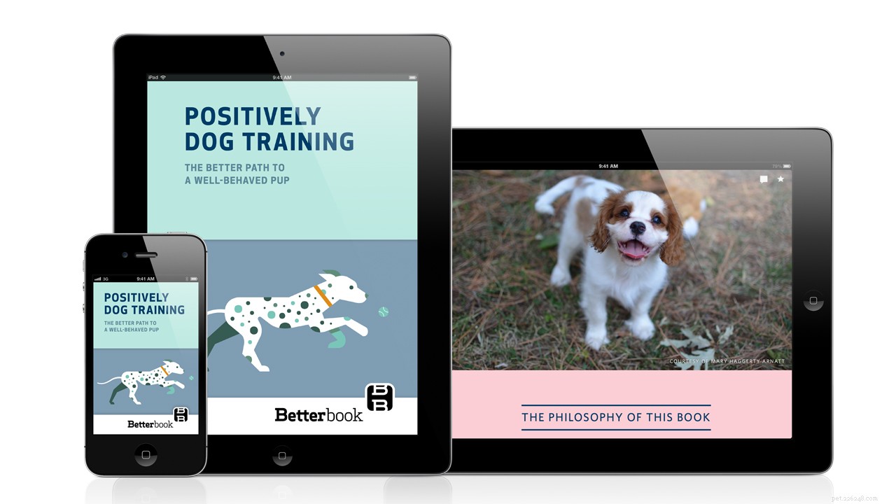 Grande nouvelle ! Présentation de  Positively Dog Training 