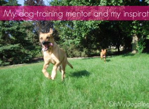 My Dog-Training Mentor and Inspiration