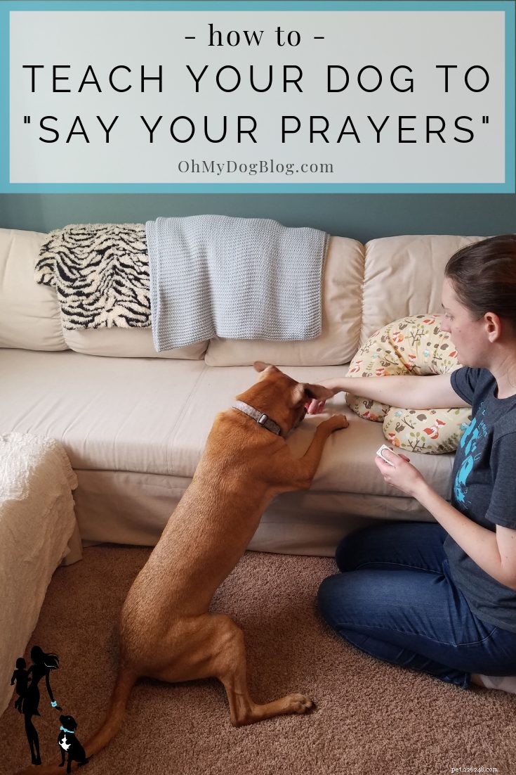 Come insegnare al tuo cane a dire le tue preghiere:Dolcetto o scherzetto Giveaway Blog Hop
