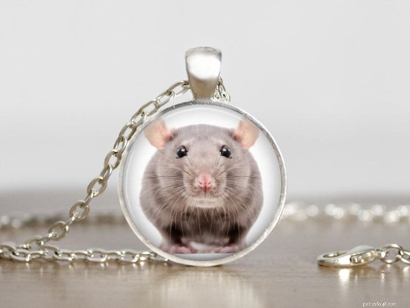 10 úžasných dárků pro milovníky a majitele potkanů