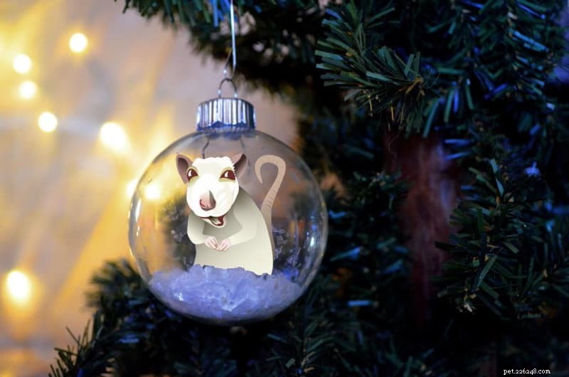 쥐 애호가 및 쥐 소유자를 위한 10가지 멋진 선물