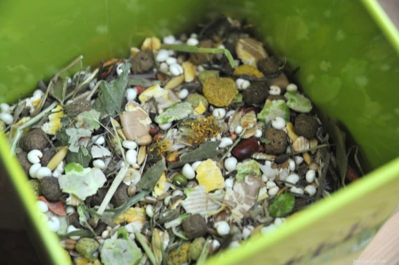 De quoi nourrir votre hamster nain – Régime des hamsters chinois, russes et Roborovski