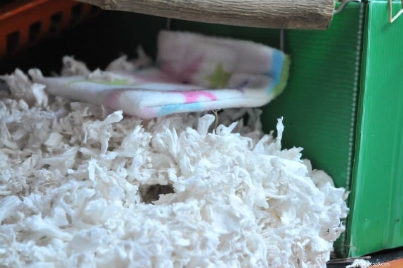 Bästa sängkläder för hamstrar:högkvalitativa alternativ för att hålla dina husdjur bekväma