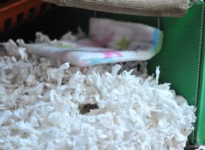 Melhor roupa de cama para hamsters:opções de alta qualidade para manter seus animais de estimação confortáveis