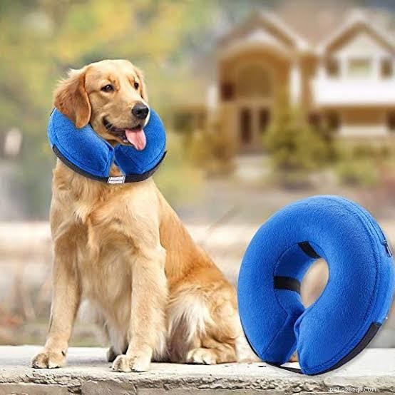 Waarom mogen honden geen halsband dragen?
