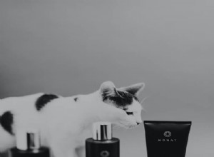 Nejlepší šampon pro perské kočky v roce 2022 – recenze a průvodce nákupem