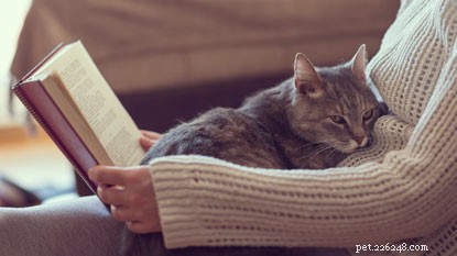 Om du letar efter den perfekta boken för den moggiga älskaren i ditt liv behöver du inte leta längre. Här är våra bästa böcker för kattälskare.