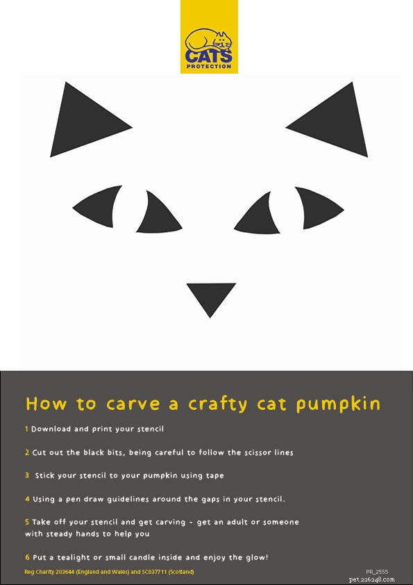 Хочешь пошалить в этот Хэллоуин? Загрузите наши забавные трафареты тыквы в виде кошки.