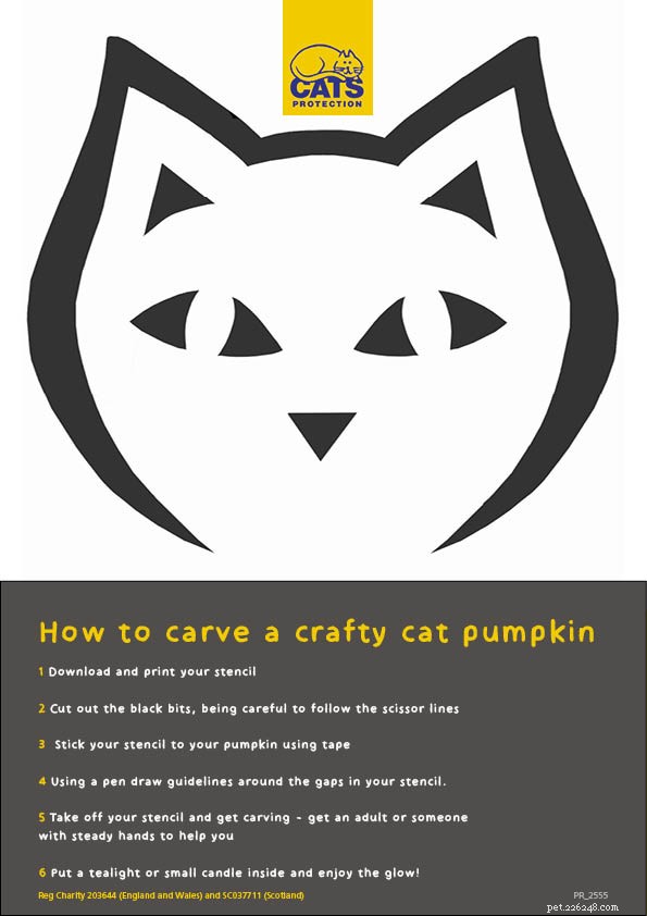 Ti va di diventare furbo questo Halloween? Scarica i nostri divertenti stencil di zucca a forma di gatto.