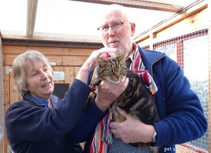 Tomcat tigré retrouve ses propriétaires à temps pour Noël, après avoir disparu à 300 km de chez lui.
