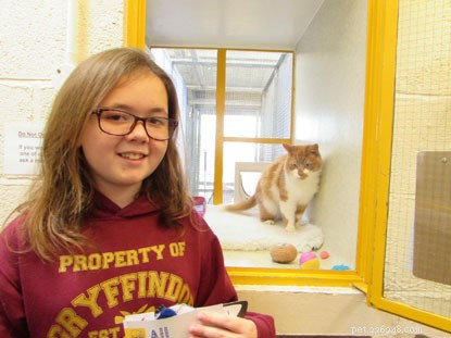 Des porte-clés faits maison par une écolière collectent des fonds pour Cats Protection