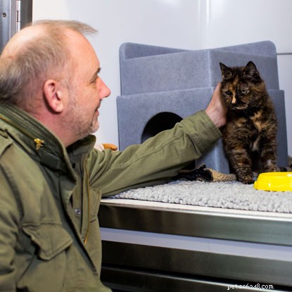 Komikern Bob Mortimer ger katter  romantiska  namn i ett försök att hjälpa dem hitta nya kärleksfulla hem. 