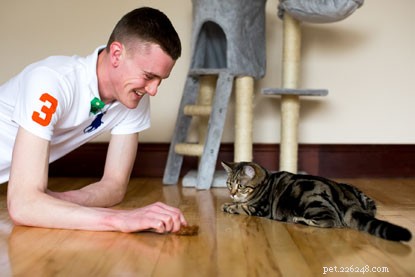 Atualização:uma gatinha encontrada dentro de uma parede está instalada em sua nova casa.