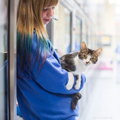 Узнайте, каково быть волонтером по уходу за кошками для защиты кошек в эту Неделю волонтеров.